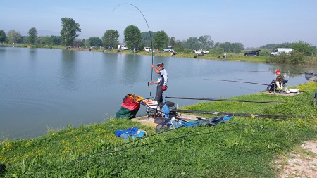 Bolognesi Felice Settore E